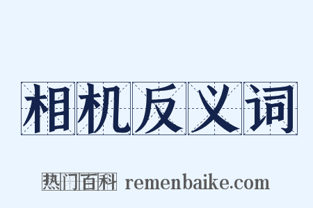 相机反义词是什么意思的图片